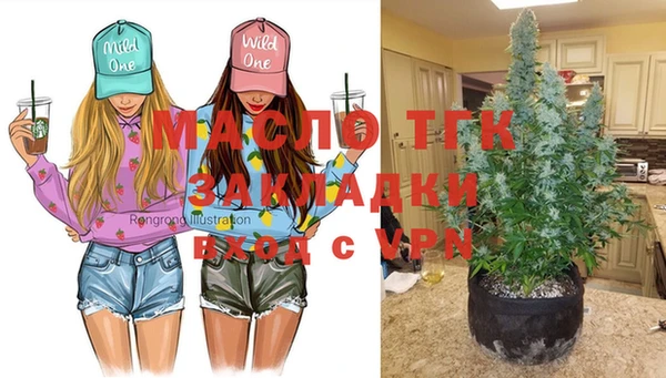 сатива Мегион