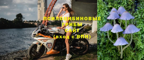 сатива Мегион