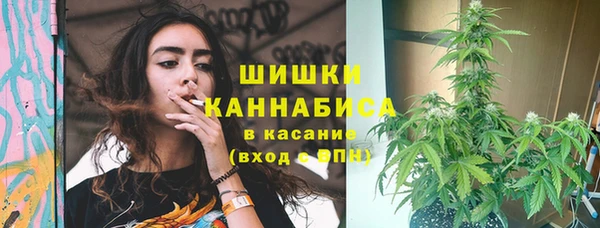 сатива Мегион