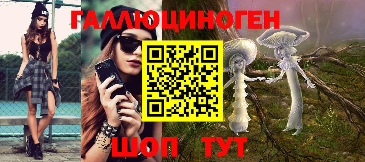 Псилоцибиновые грибы GOLDEN TEACHER  закладки  Бийск  Вход с VPN  Псилоцибиновые грибы Psilocybine cubensis 