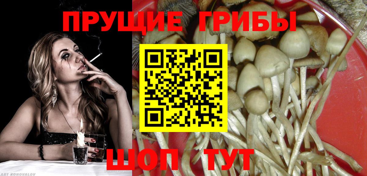 Галлюциногенные грибы MAGIC MUSHROOMS  Бийск 